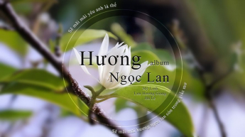 Album Hương Ngọc Lan 