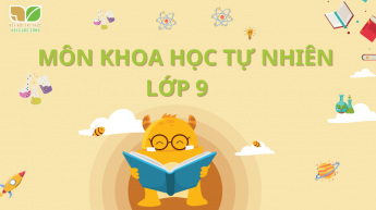 Khoa học tự nhiên - Lớp 9 - Bộ sách Kết nối tri thức với cuộc sống